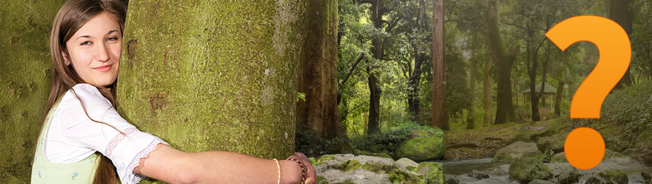 Achtsamkeitstraining - Kathrin Dorenburg-Brunn, Berlin - Lebensberatung, Mediation, Life Coach, Ernährungsberatung, Stressbewältigung, Konfliktvermittlung