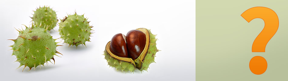Titelbild Datenschutz - von KDB, Kathrin Dorenburg-Brunn, Berlin - Lebensberatung, Mediation, Life Coach, Ernährungsberatung, Stressbewältigung, Achtsamkeitstraining, Konfliktvermittlung